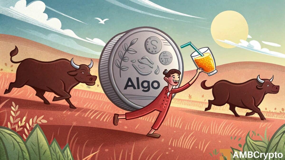 Algorand：打破这种模式后，算法可以在接下来目标$ 0.32吗？