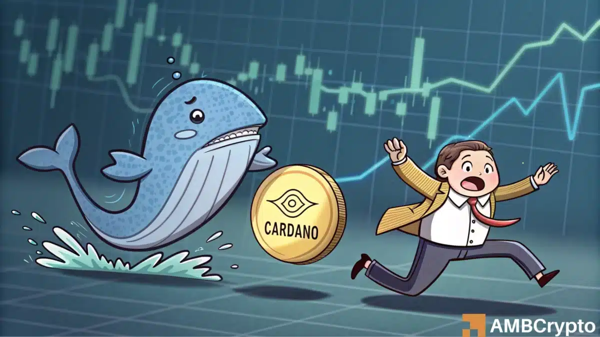 卡尔达诺（Cardano）的18％低迷和下降的鲸鱼活动引起了人们的关注