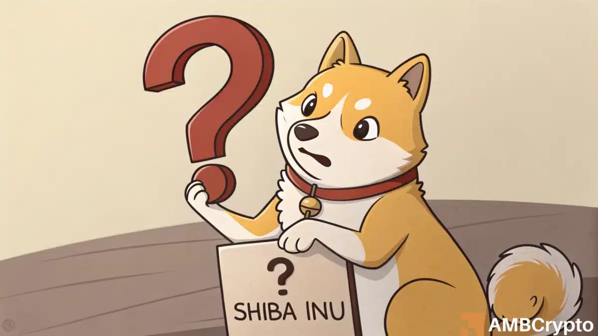 Shiba Inu储量赛以记录低点 - 持有者是否移至冷藏？