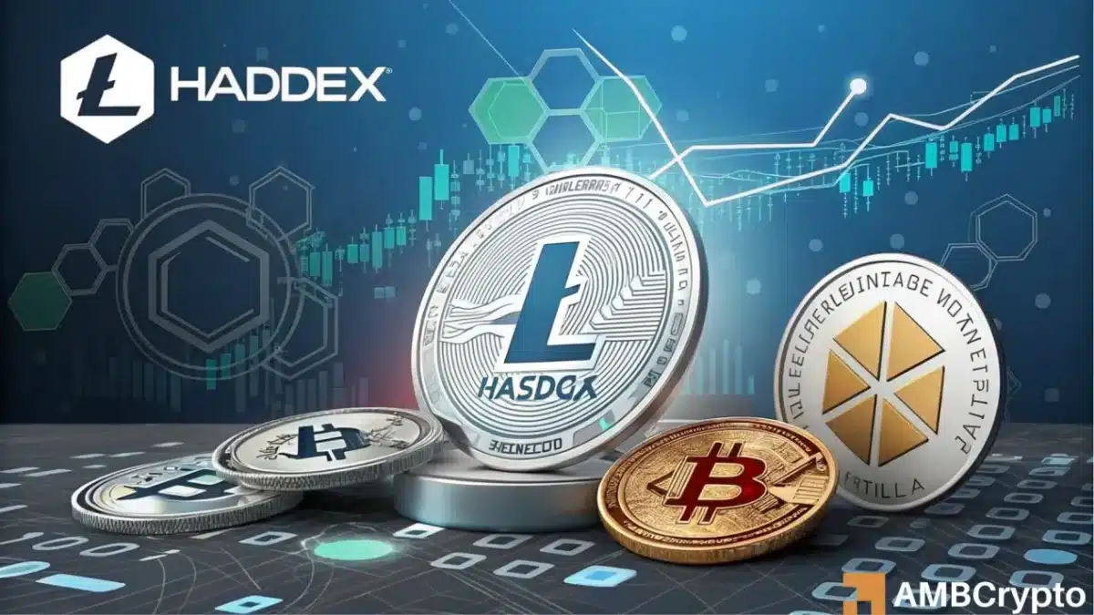 Hashdex Eyes XRP和Cardano用于加密ETF扩展 - 接下来是山寨币吗？