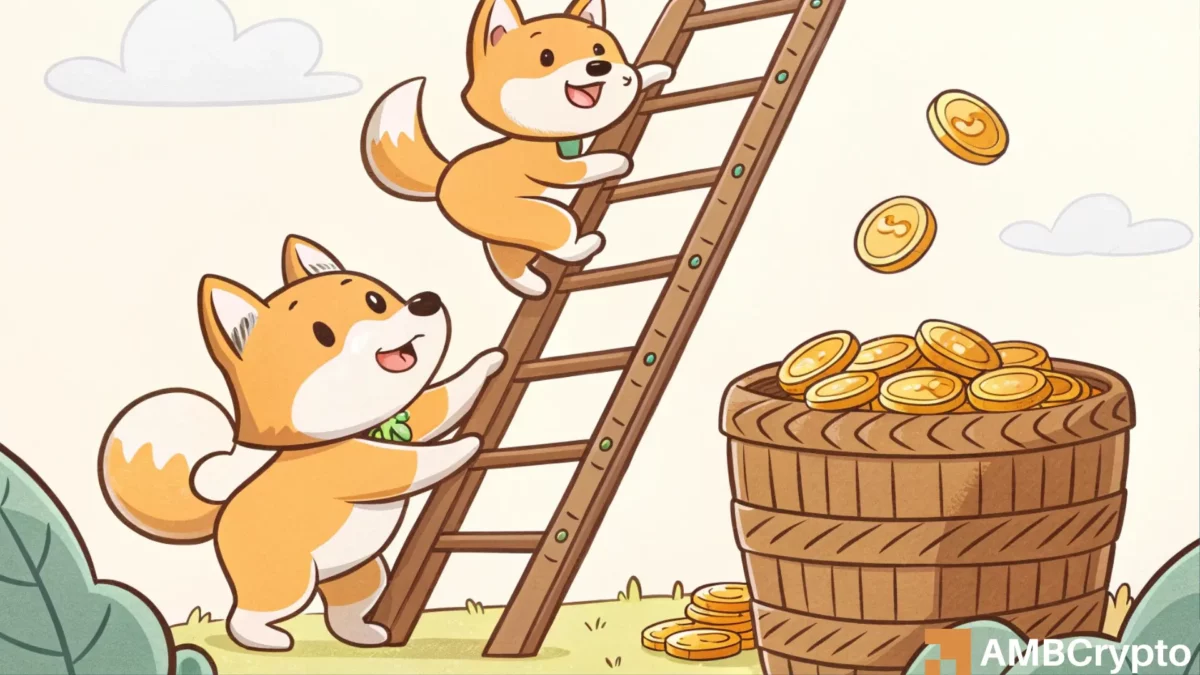 Shiba Inu的价格可能接近突破